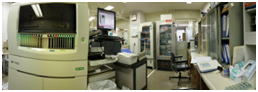 写真：輸血検査室3